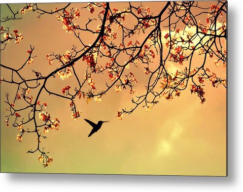 Treetop Metal Print featuring the photograph Bird Singing In The Morning Sky by Autumnn