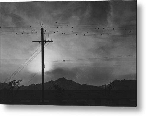 Built Structure Metal Print featuring the photograph Birds On Wire, Evening by Buyenlarge