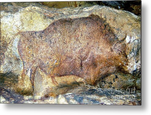 Animal Metal Print featuring the painting Bison In Font De Gaume, C.25,000 B.c. by Prehistoric