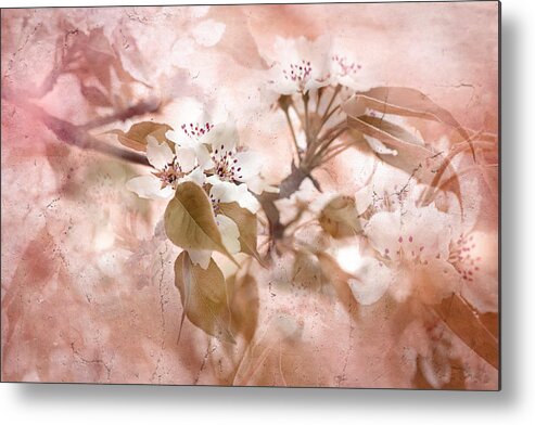 Flowers Metal Print featuring the photograph Blossom by Jacky Parker
