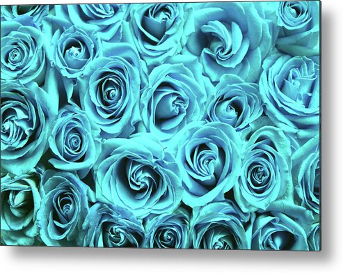 Cute Metal Print featuring the photograph Blue roses by Top Wallpapers