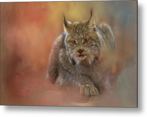 Bobcat Metal Print featuring the painting Bobcat Pounce by Jeanette Mahoney