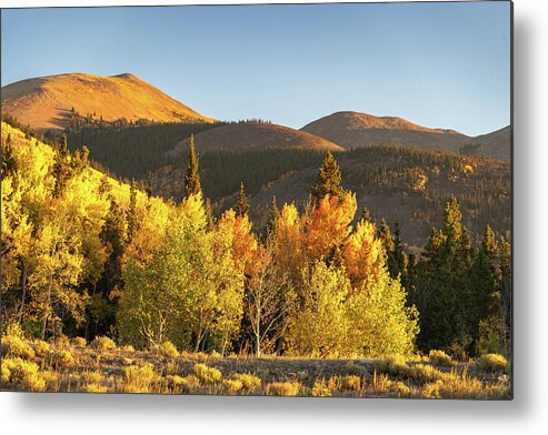  Metal Print featuring the photograph Boreas Mountain by Philip Rodgers