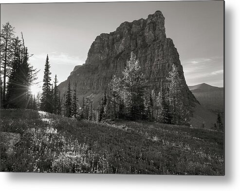 Abstract Metal Print featuring the photograph Boulder Pass Glacier National Park Bw by Alan Majchrowicz