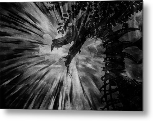 Dragon Metal Print featuring the photograph Breath of the Dragon by Jim Cook