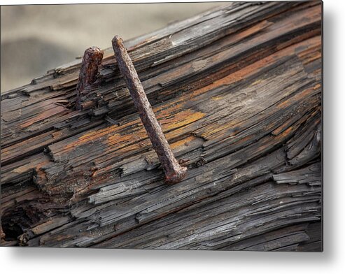 Nature Metal Print featuring the photograph Broken by Bob Cournoyer