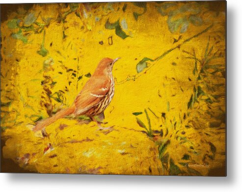 Bird Metal Print featuring the photograph Brown Thrasher Visits by Diane Lindon Coy