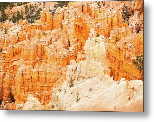 Scenics Metal Print featuring the photograph Bryce Canyon by Mmac72