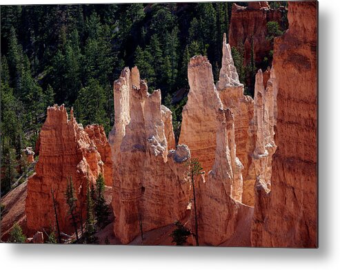 Bryce Canyon National Park Metal Print featuring the photograph Bryce Canyon by Paul Freidlund
