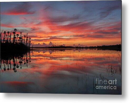 Usa Metal Print featuring the photograph Burst of Color by Brian Kamprath