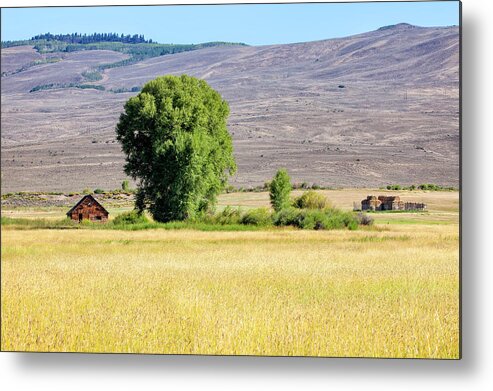 Hayfield Metal Print featuring the photograph Cabin Amid Hay Harvest by Denise Bush