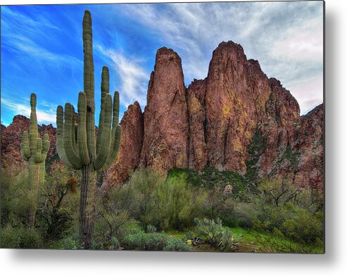 Saguaro Metal Print featuring the photograph Cactus and Goldfield Mountains by Dave Dilli