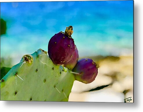 Cactus Fruit Metal Print featuring the photograph Cactus Fruit by Tom Johnson