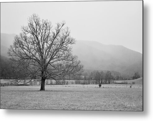 Cades Cove Metal Print featuring the photograph Cades Cove 1 by Nunweiler Photography