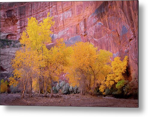 Canyon De Chelly Metal Print featuring the photograph Canyon de Chelly Fall Colors 1812 by Kenneth Johnson