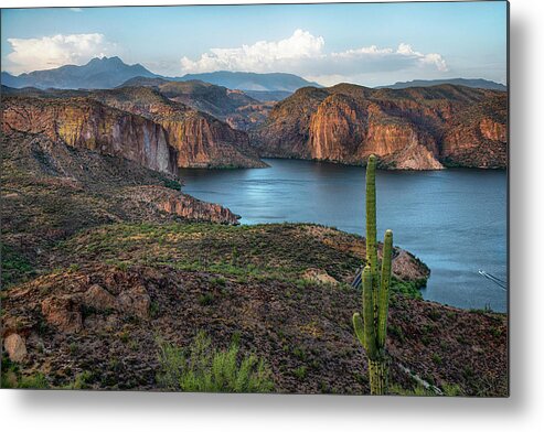 Canyon Lake Metal Print featuring the photograph Canyon Lake Four Peaks Saguaro Overlook by Dave Dilli