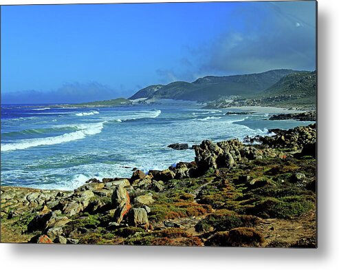 Cape Of Good Hope Metal Print featuring the photograph Cape of Good Hope by Richard Krebs