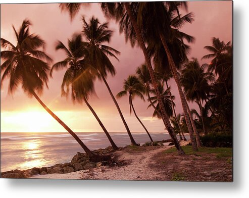 Water's Edge Metal Print featuring the photograph Caribbean, Barbados, Pristine Beach by Buena Vista Images