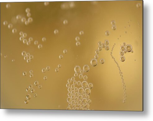 Alcohol Metal Print featuring the photograph Champagne Bubbles Close Up by Peepo
