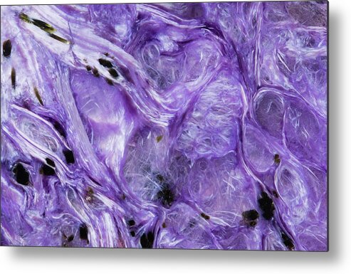 Abstract Metal Print featuring the photograph Charoite Mineral, Close-up by Mark Windom