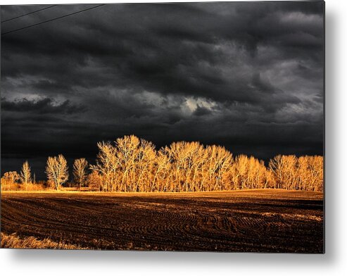 Chasing The Horizon Dirt Road Track Sun Thunder Clouds Rain Light Trees Low Light Days End Gravel Road Fire Hazard Dry Clouds Darkness Storm Tracker Stormy Weather Cloud Burst Chase The Horizon Metal Print featuring the photograph Chasing Light by David Matthews