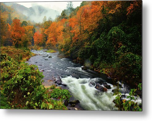 Great Smoky Mountains National Park Metal Print featuring the photograph Cherokee Autumn by Greg Norrell