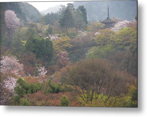Scenics Metal Print featuring the photograph Cherry Blossom With Kiyomizudera Temple by B. Tanaka