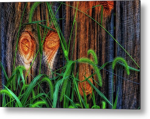 Plant Metal Print featuring the photograph Close up of rough wooden exterior wall by Dee Browning