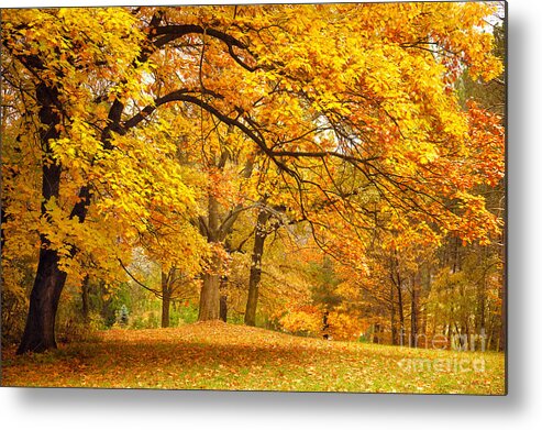 Country Metal Print featuring the photograph Collection Of Beautiful Colorful Autumn by Taiga