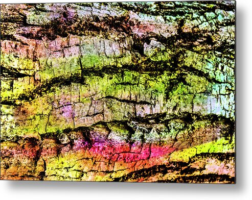 Colorful Bark 08 Metal Print featuring the photograph Colorful Bark 08 by Anita Vincze