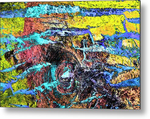 Colorful Bark 11 Metal Print featuring the photograph Colorful Bark 11 by Anita Vincze