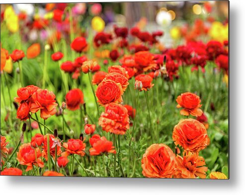 Italy Metal Print featuring the photograph Colorful Flowers In Garden by Vivida Photo PC