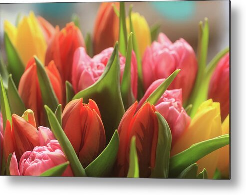 Easter Metal Print featuring the photograph Colorful Tulips by Photography By Philipp Chistyakov