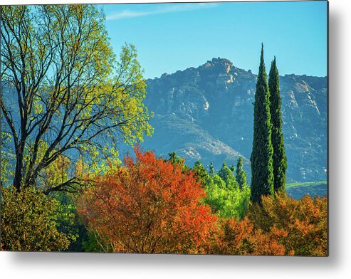 Simi Valley Metal Print featuring the photograph Colors of the Season in Simi Valley by Lynn Bauer