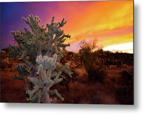 Sunset Metal Print featuring the photograph Colors of the Setting Sun by Melisa Elliott