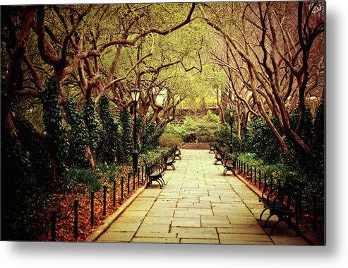 Central Park Metal Print featuring the photograph Conservatory Garden, Central Park, New by Vivienne Gucwa