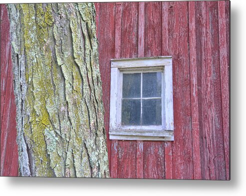 American Metal Print featuring the photograph Contrasting Colors by Dressage Design