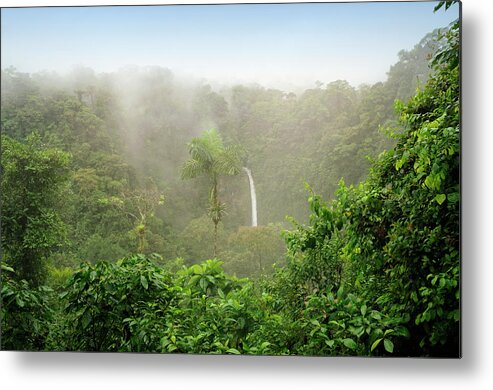 Tropical Rainforest Metal Print featuring the photograph Costa Rica Rain Forest by Keithbinns