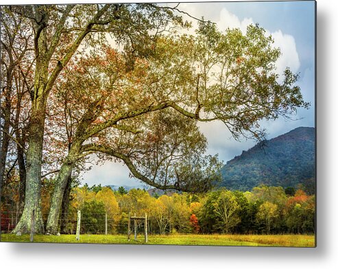 Appalachia Metal Print featuring the photograph Country Mountain Lane at Cades Cove by Debra and Dave Vanderlaan