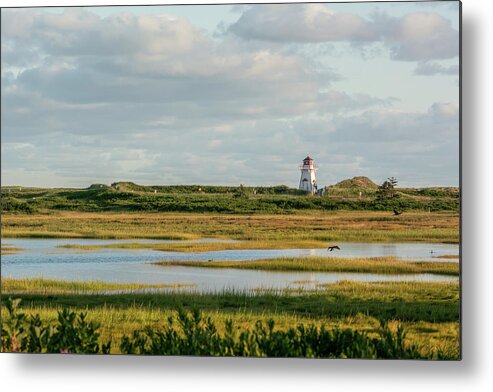 Stanhope Metal Print featuring the photograph Cove Head Lighthouse across Wetlands by Douglas Wielfaert