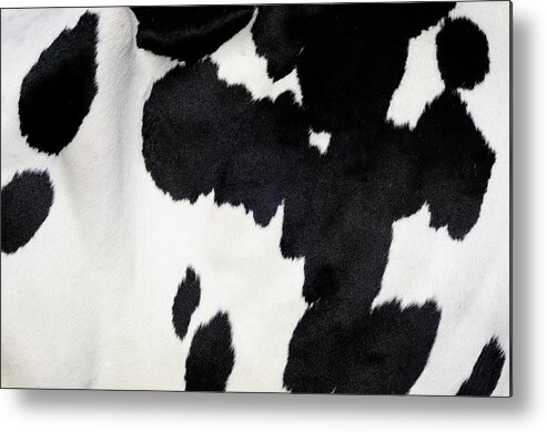 Animal Skin Metal Print featuring the photograph Cow Background by Nikitje
