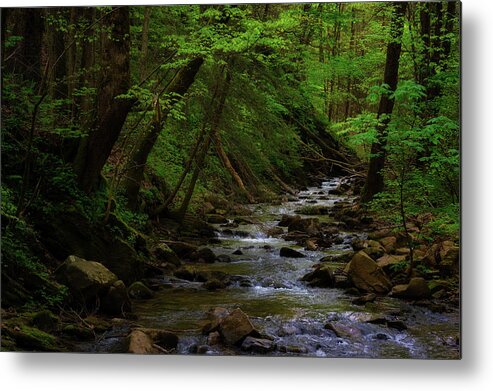 Hiking Metal Print featuring the photograph Creek flowing through shady forest by Dee Browning
