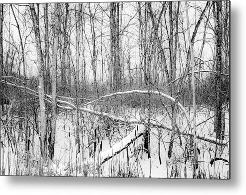  Metal Print featuring the photograph Crossbow by Kendall McKernon