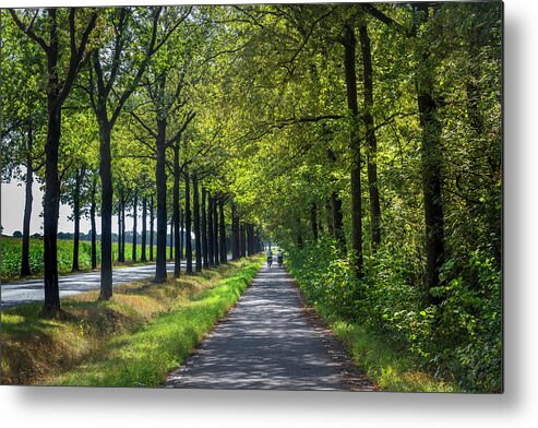 Spring Metal Print featuring the photograph Cycling in Holland by Debra and Dave Vanderlaan