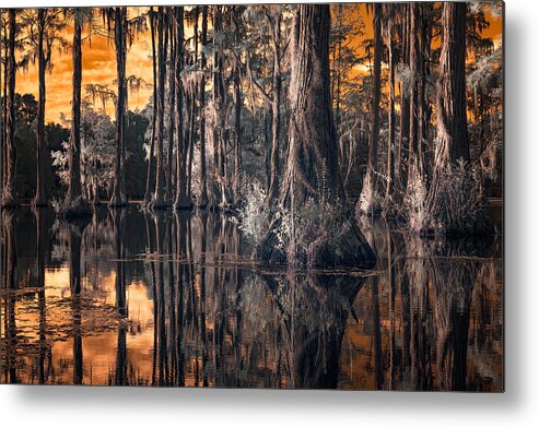 Infrared Metal Print featuring the photograph Cypress Study #6 by Benton Murphy