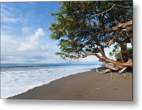 Outdoors Metal Print featuring the photograph Dark Sandy Beach by Dustypixel