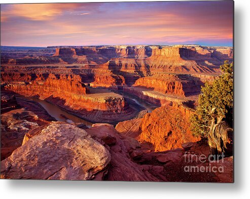 America Metal Print featuring the photograph Dead Horse Point View by Brian Jannsen