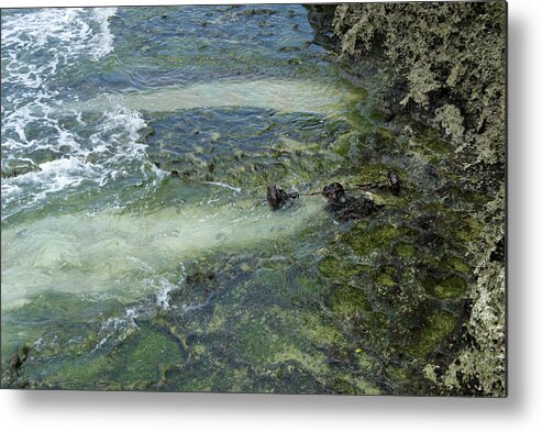 Washed Up Metal Print featuring the photograph Debris by Eric Hafner