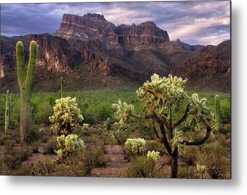 Superstition Metal Print featuring the photograph Desert Mountains and Cactus by Dave Dilli
