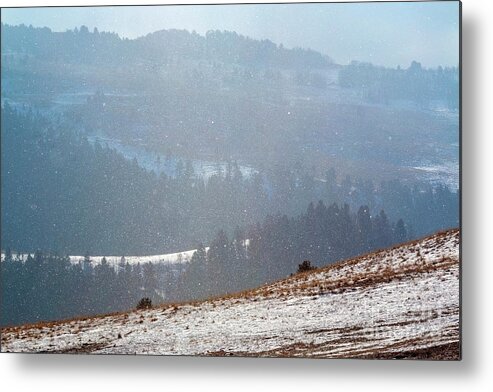 Snow Metal Print featuring the photograph Diamonds in the Sky by Steven Krull